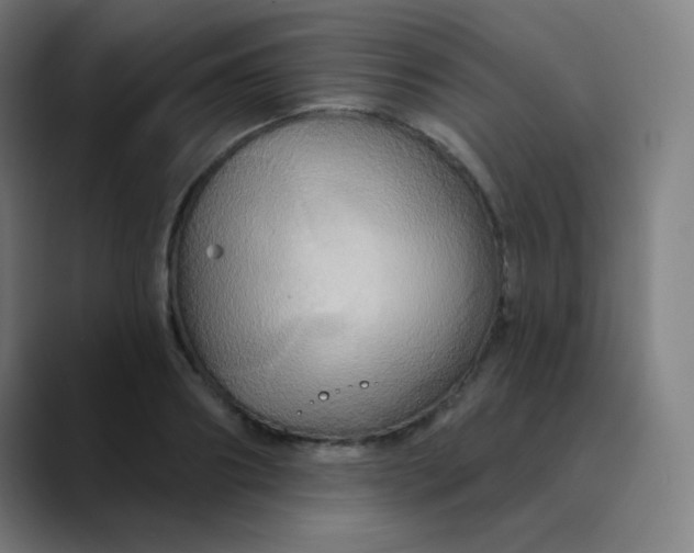 X0000089720890200707121429