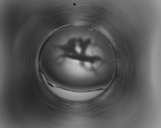 X0000089720891200707121429