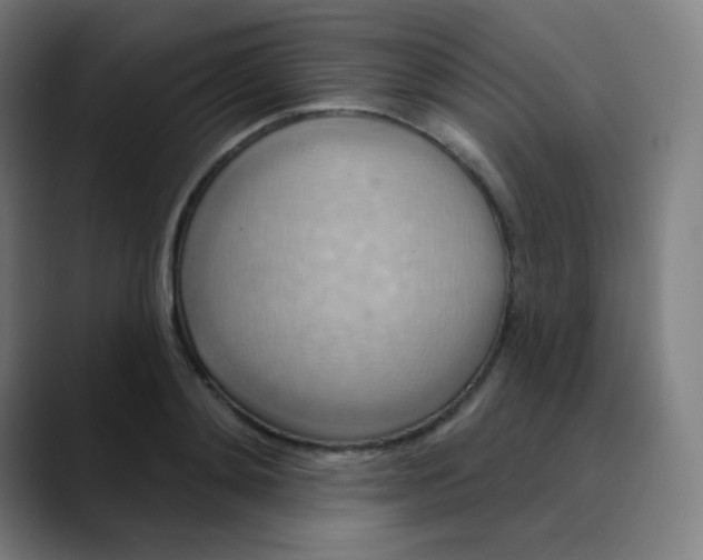 X0000089720892200707121429