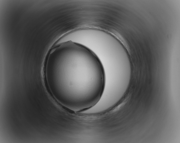 X0000089720893200707121429