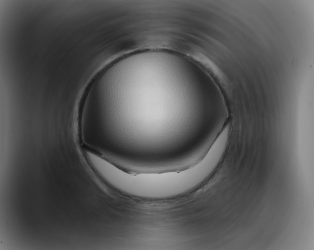 X0000089720894200707121429