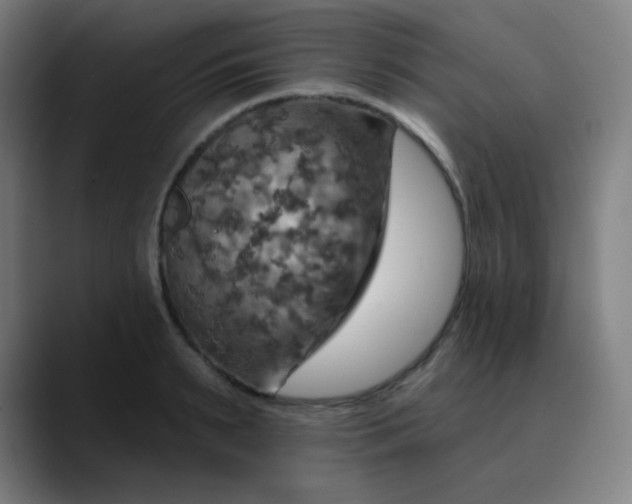 X0000089720895200707121428