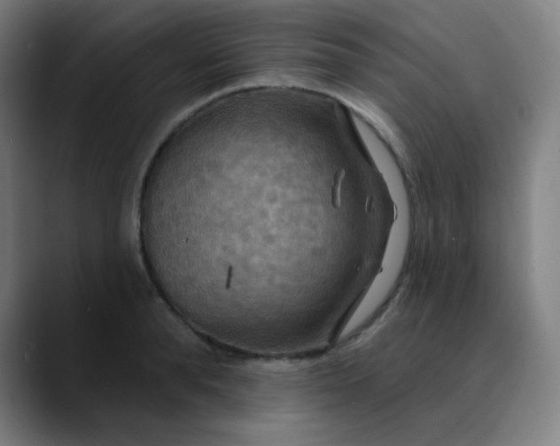 X0000089720896200707121428