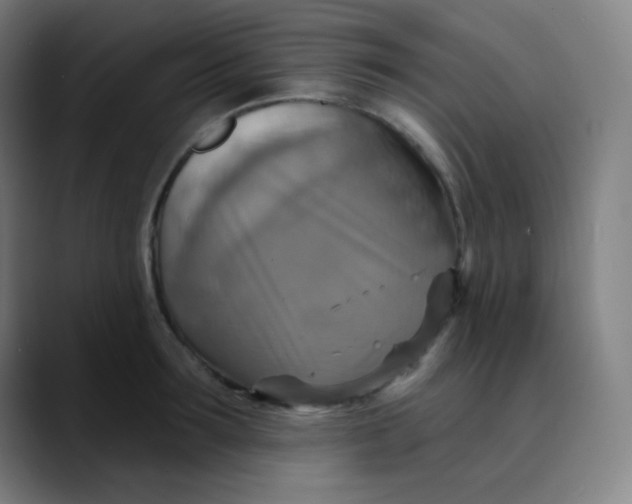 X0000089720899200707121428