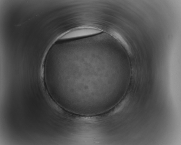 X0000089720900200707121428