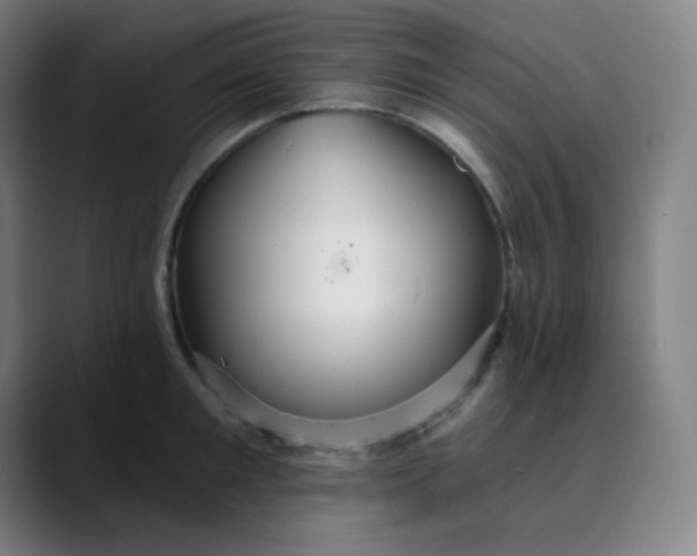 X0000089720901200707121428