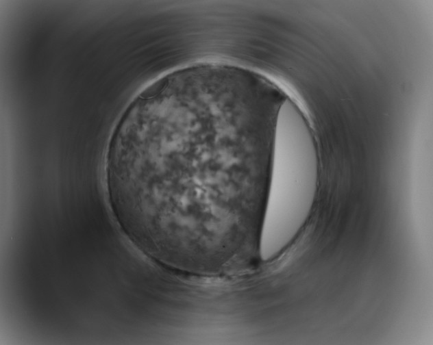 X0000089720903200707121428