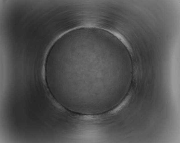 X0000089720904200707121428