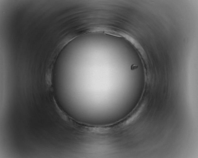 X0000089720905200707121428