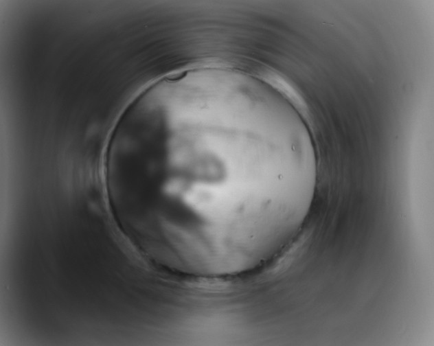 X0000089720907200707121428