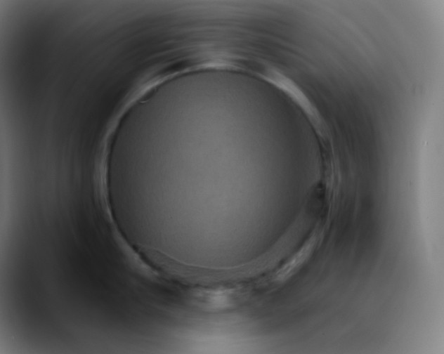 X0000089720910200707121428