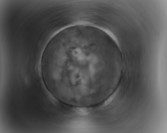 X0000089720911200707121428