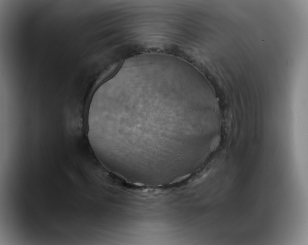 X0000089720916200707121428