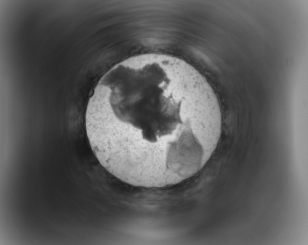 X0000089720917200707121428