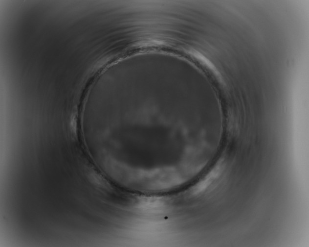 X0000089720921200707121428