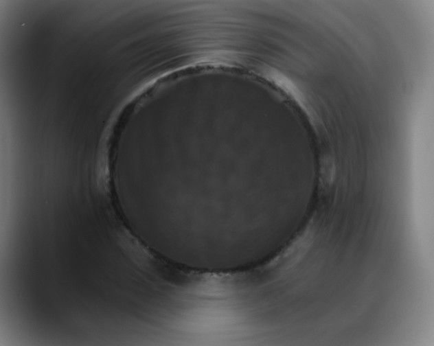 X0000089720923200707121428