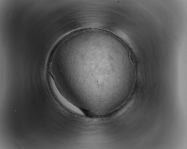 X0000089720924200707121428