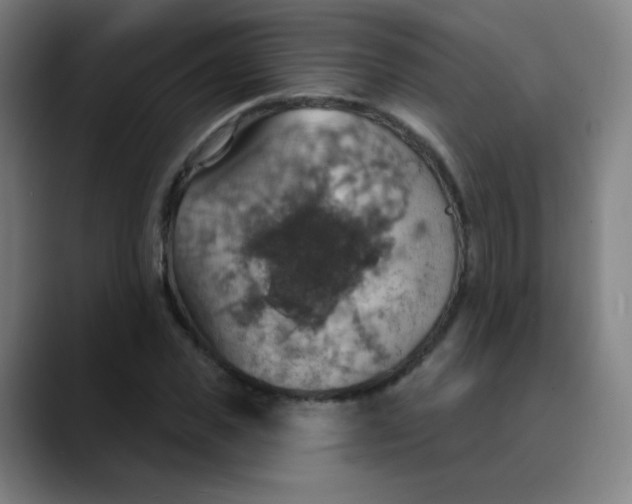 X0000089720925200707121428