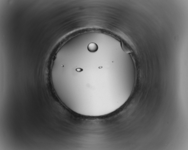 X0000089720926200707121428