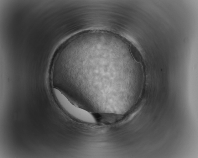 X0000089720928200707121428