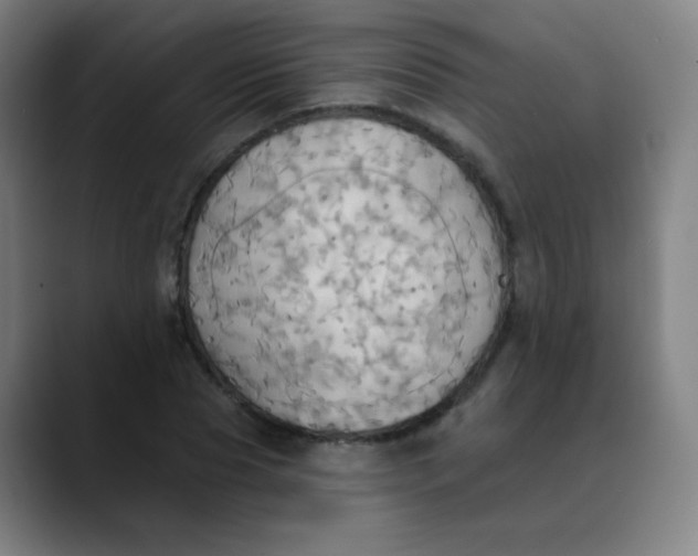 X0000089720929200707121428