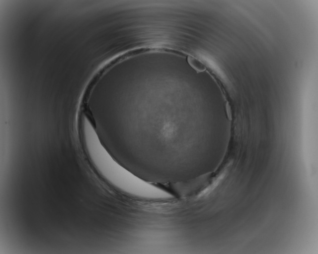 X0000089720932200707121428