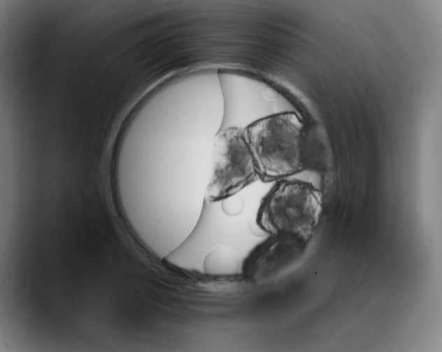 X0000089720933200707121428