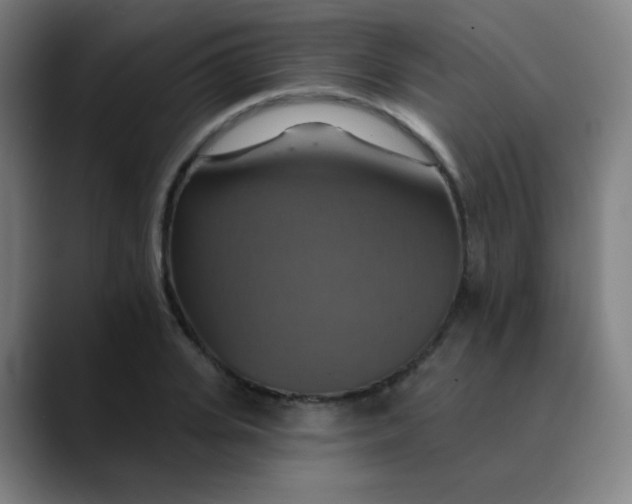 X0000089720935200707121428