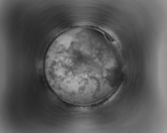 X0000089720937200707121428