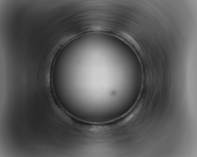 X0000089720938200707121428