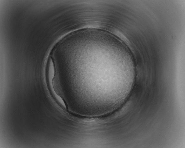 X0000089720939200707121428