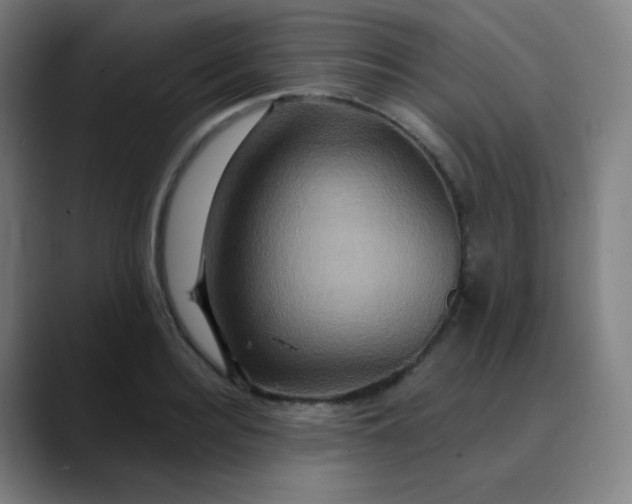 X0000089720940200707121428