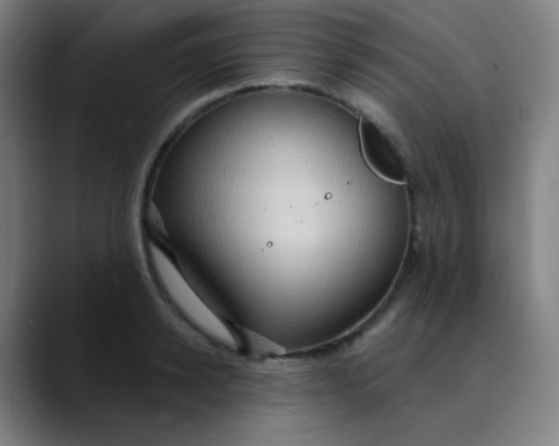 X0000089720942200707121428