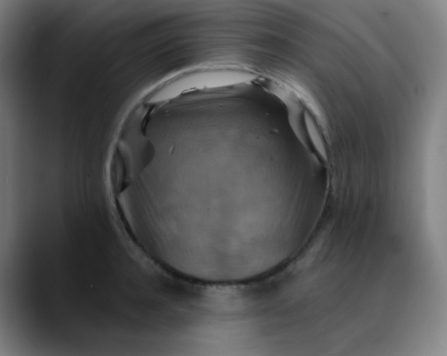 X0000089720944200707121428