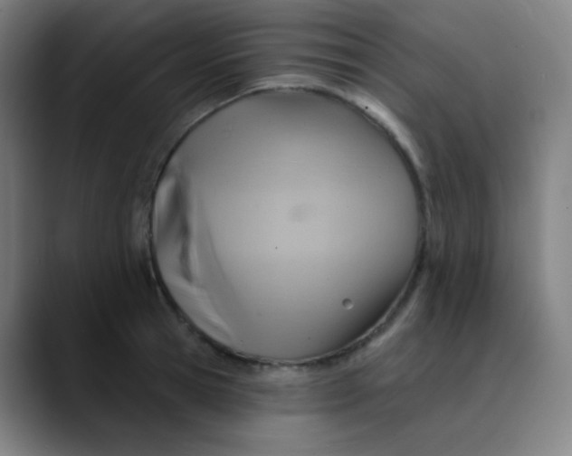 X0000089720945200707121428