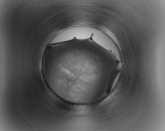 X0000089720946200707121428