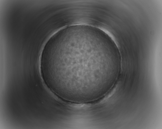 X0000089720949200707121428