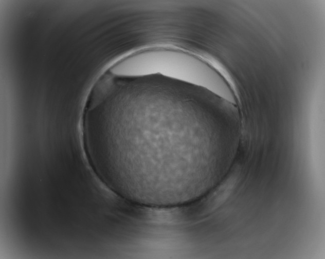 X0000089720951200707121428