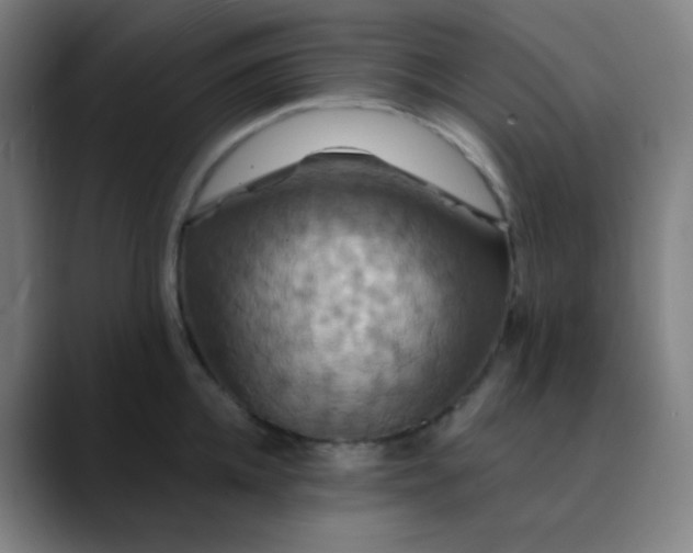 X0000089720952200707121428