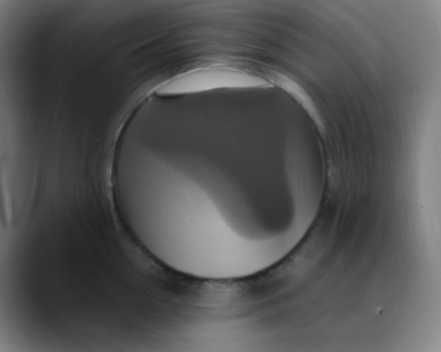 X0000089720954200707121428