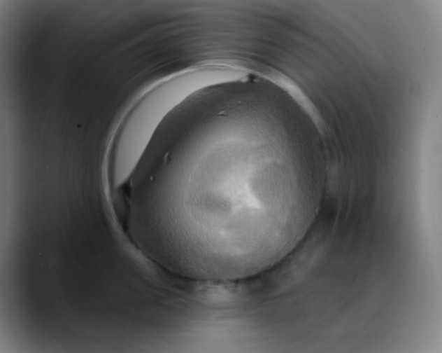 X0000089720955200707121428