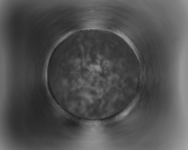 X0000089720957200707121428