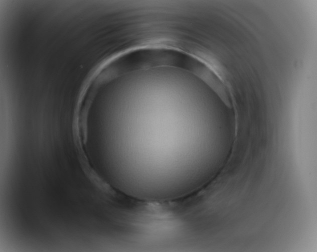 X0000089720960200707121428