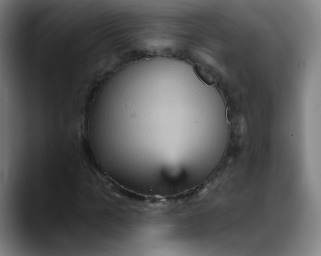 X0000089720965200707121428