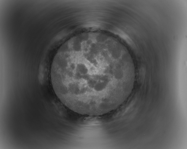 X0000089720967200707121428