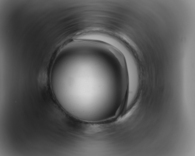 X0000089720969200707121428