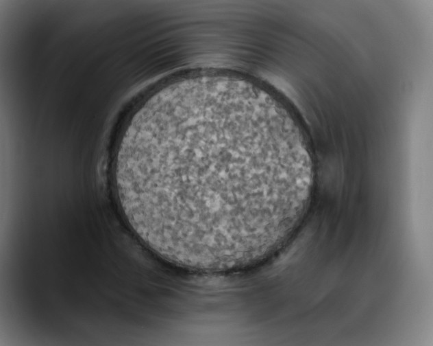 X0000089720971200707121428