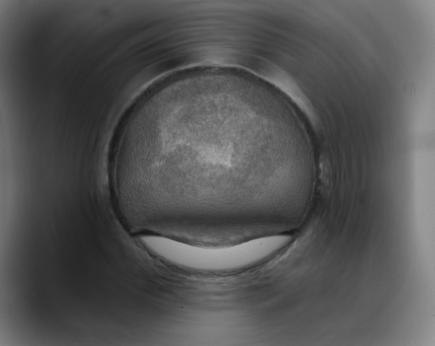 X0000089720972200707121428