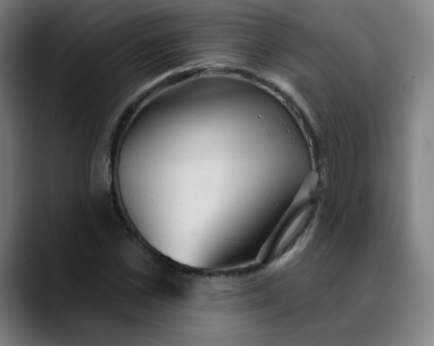 X0000089720973200707121428