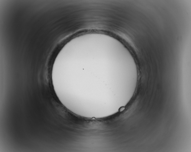 X0000089720974200707121428